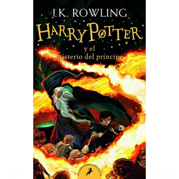 HARRY P. Y EL MISTERIO DEL PRINCIPE 6