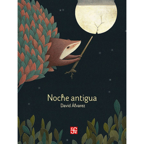 NOCHE ANTIGUA