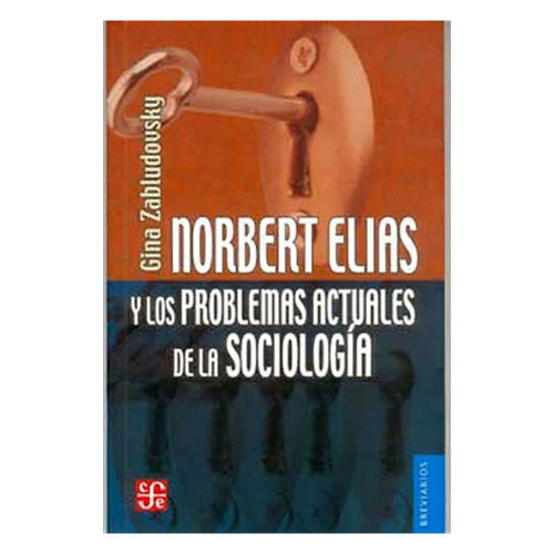 NORBERT ELIAS Y LOS PROBLEMAS ACTUALES D