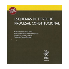 ESQUEMAS DE DERECHO PROCESAL CONST