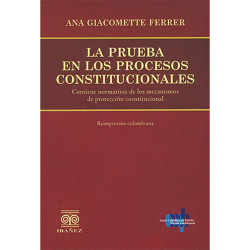 PRUEBA EN LOS PROCESOS CONSTITUCION