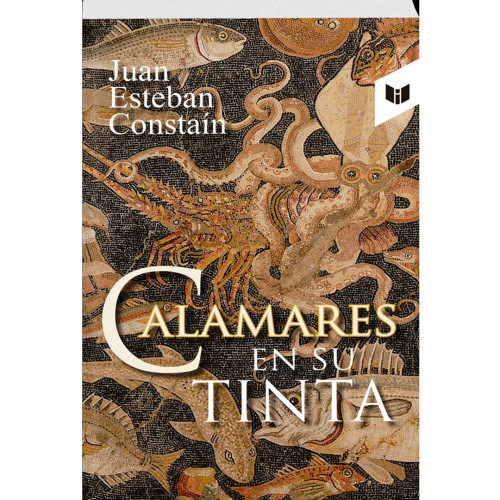 CALAMARES EN SU TINTA