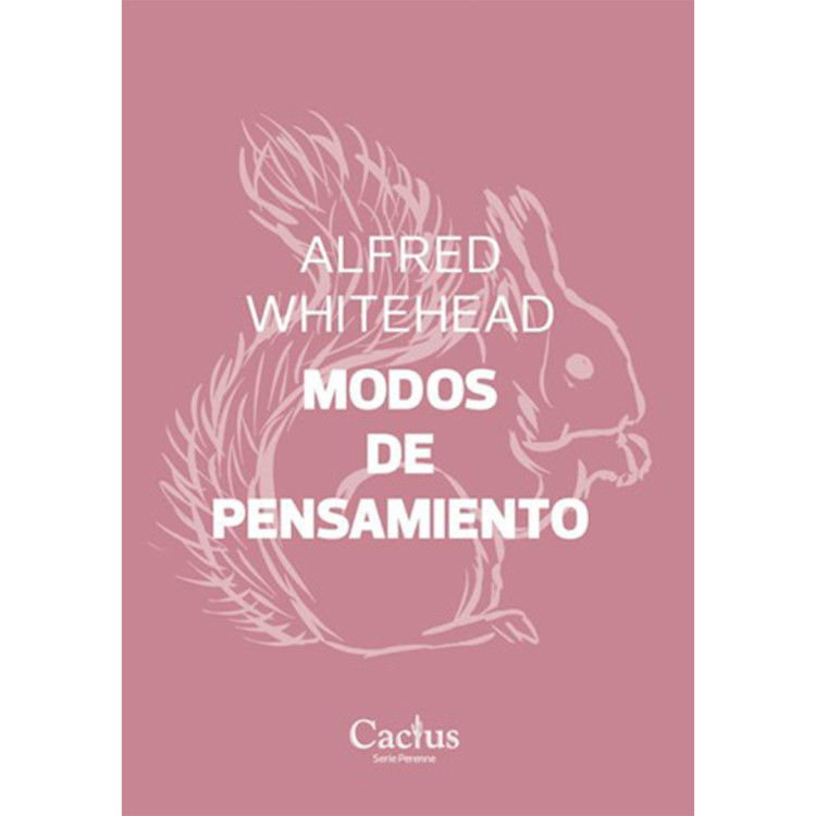 MODOS DE PENSAMIENTO