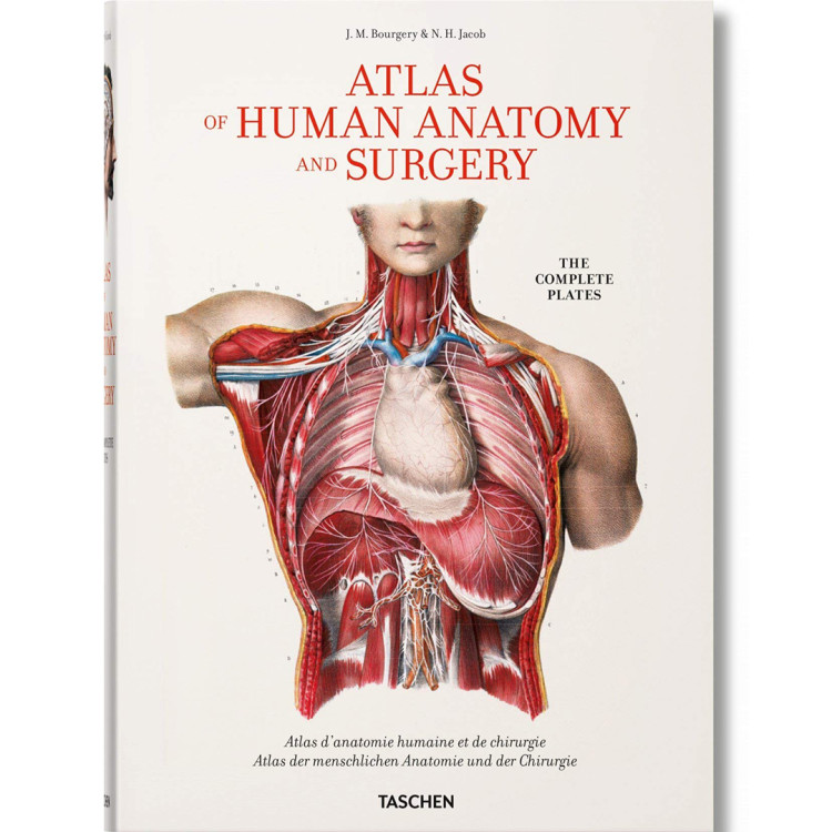 ATLAS OF HUMAN ANATOMY AND SURGERY