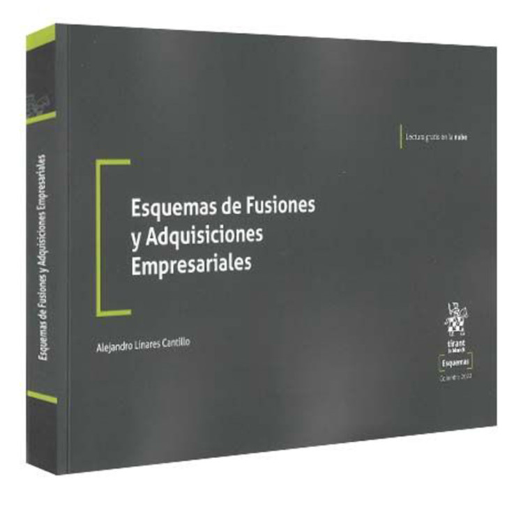 ESQUEMAS DE FUSIONES Y ADQUISICIONES