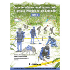 DERECHO INTERNACIONAL HUMANITARIO (V)