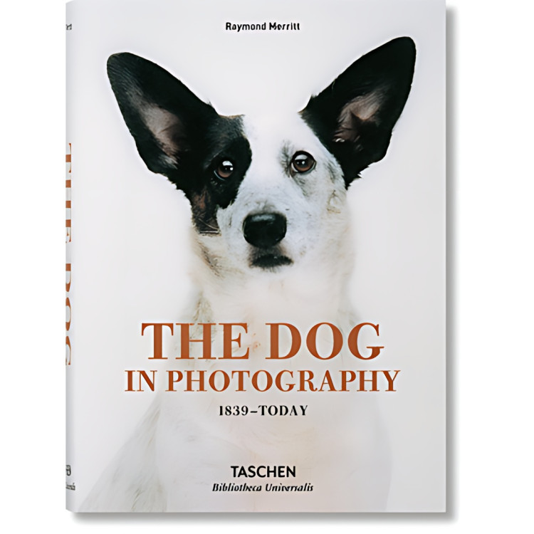 THE DOG IN PHOTOGRAPHY1839-TODAY
