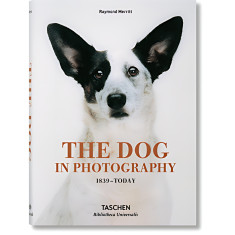 THE DOG IN PHOTOGRAPHY1839-TODAY