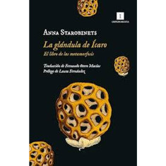 GLANDULA DE ICARO LA