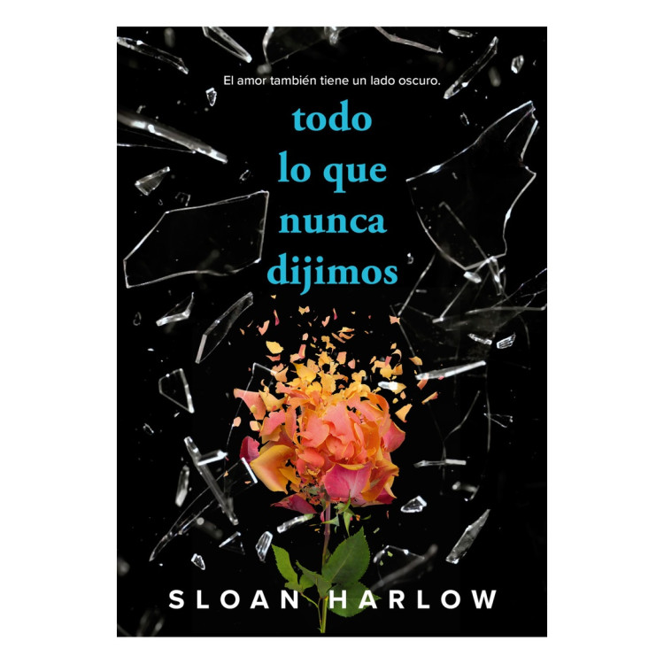 TODO LO QUE NUNCA DIJIMOS