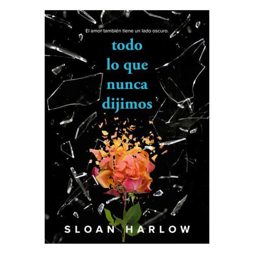 TODO LO QUE NUNCA DIJIMOS