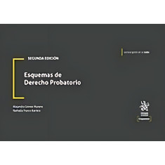 ESQUEMAS DE DERECHO PROBATORIO