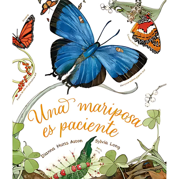 UNA MARIPOSA ES PACIENTE