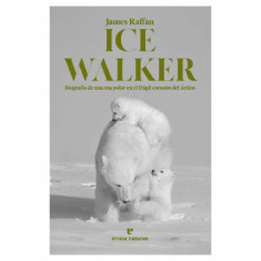 DAVID PICHON REBOZADO