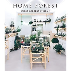 HOME FOREST INTERIOR MICRO GARDENS