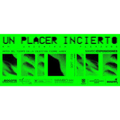 UN PLACER INCIERTO