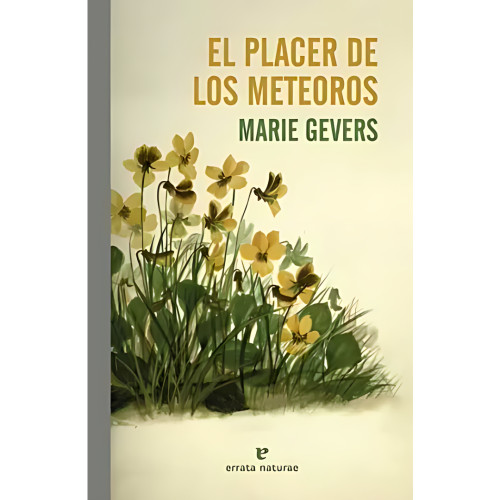 PLACER DE LOS METEOROS EL