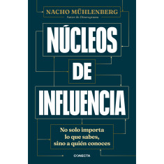 NUCLEOS DE INFLUENCIA