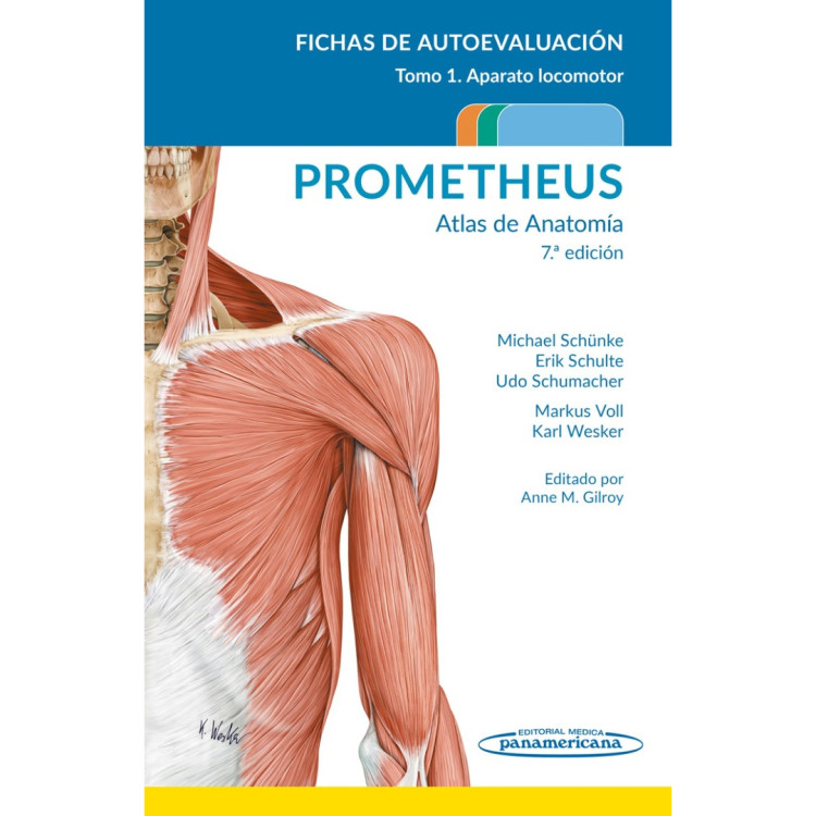 ATLAS DE ANATOMIA FICHAS PROMETHEUS T1