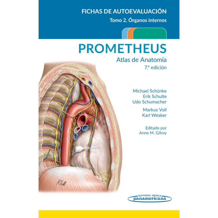 ATLAS DE ANATOMIA FICHAS PROMETHEUS T2