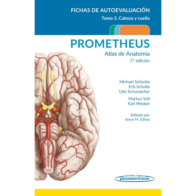ATLAS DE ANATOMIA FICHAS PROMETHEUS T3