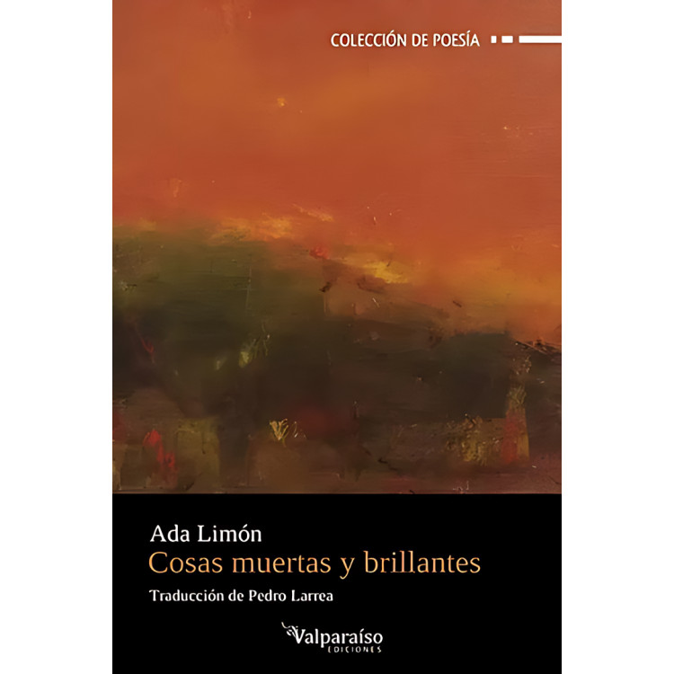 COSAS MUERTAS Y BRILLANTES