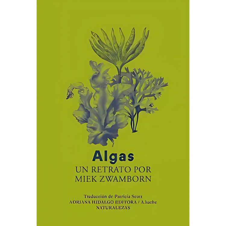 ALGAS UN RETRATO POR MIEK ZWAMBORN