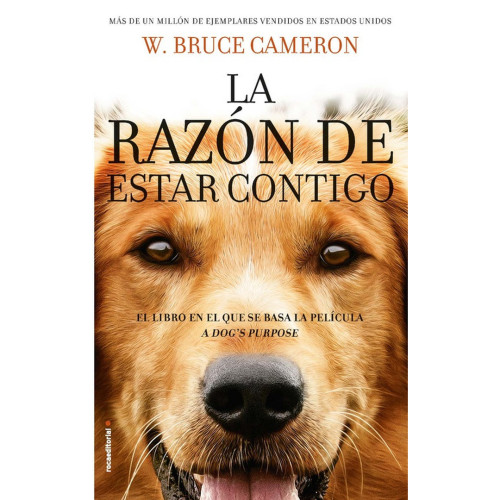 RAZON DE ESTAR CONTIGO LA