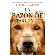 RAZON DE ESTAR CONTIGO LA