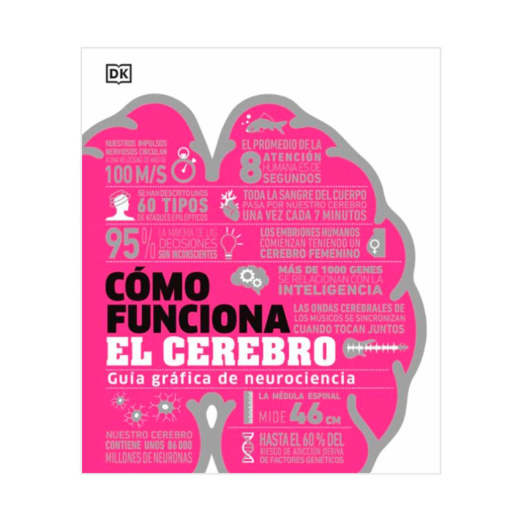 COMO FUNCIONA EL CEREBRO D K