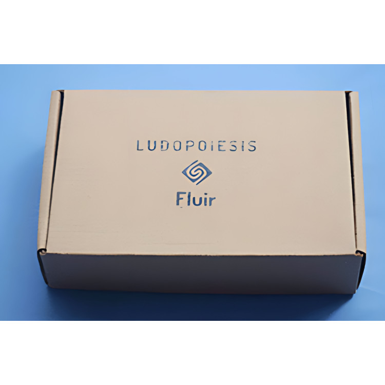 LUDOPOIESIS - FLUIR