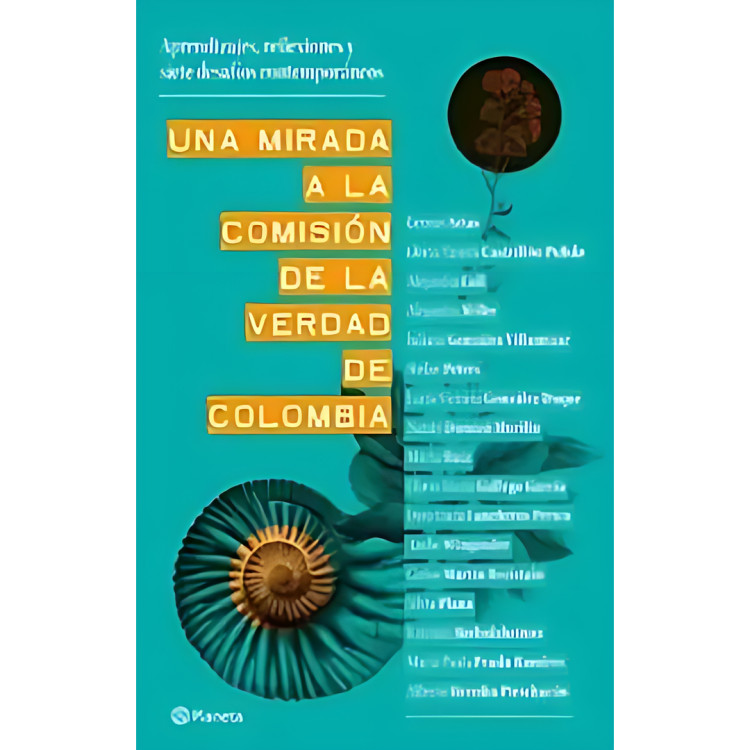 UNA MIRADA A LA COMISIÓN DE LA VERDAD