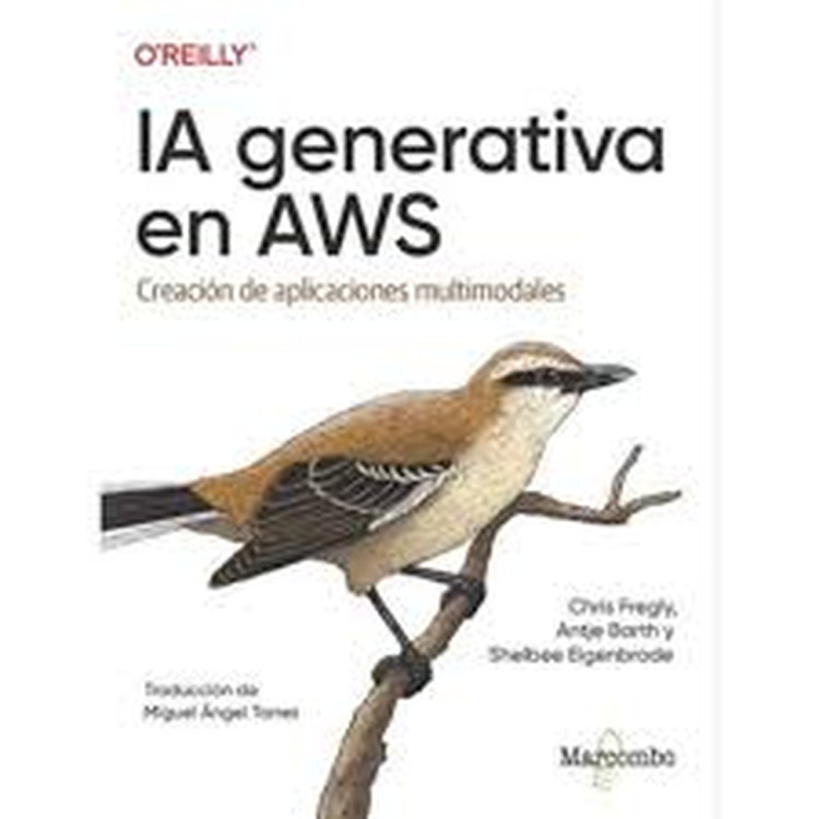IA GENERATIVA EN AWS. CREACION APLIC.