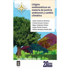 LITIGIOS EMBLEMATICOS