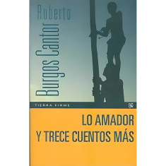 AMADOR Y TRECE CUENTOS MÁS