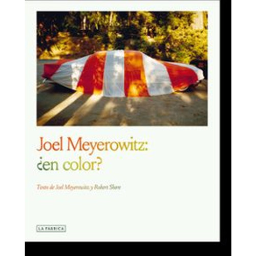 JOEL MEYEROWITZ:¿EN COLOR?