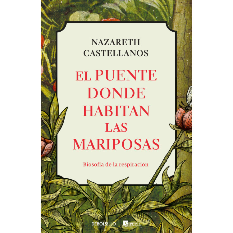 PUENTE DONDE HABITAN LAS MARIP EL