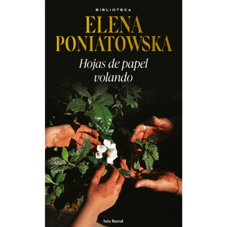 HOJAS DE PAPEL VOLANDO ED SEIXBARRAL