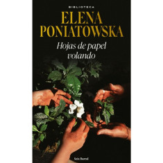 HOJAS DE PAPEL VOLANDO ED SEIXBARRAL