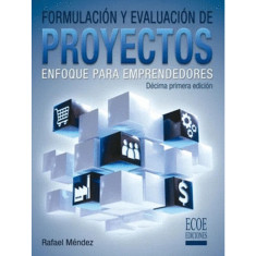 FORMULACION Y EVALUACION DE PROYEC