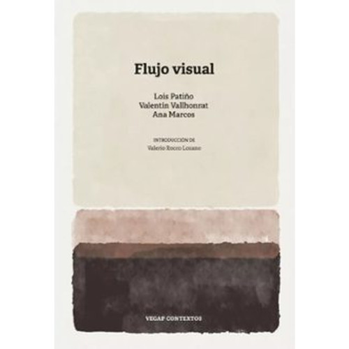 FLUJO VISUAL
