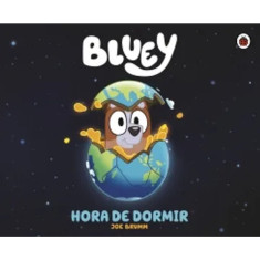 BLUEY A DORMIR
