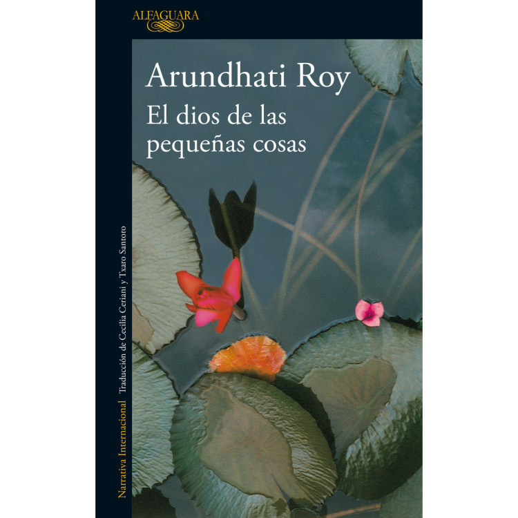 DIOS DE LAS PEQUEÑAS COSAS ROY