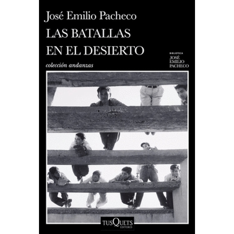 BATALLAS EN EL DESIERT