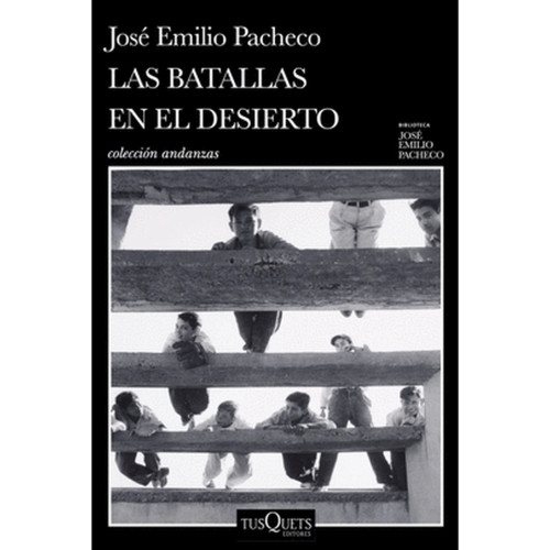 BATALLAS EN EL DESIERT