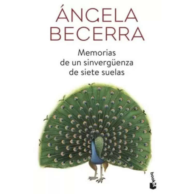 MEMORIAS DE UN SINVERGÜENZA