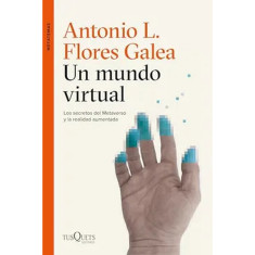 UN MUNDO VIRTUAL