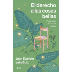 DERECHO A LAS COSAS BELLAS