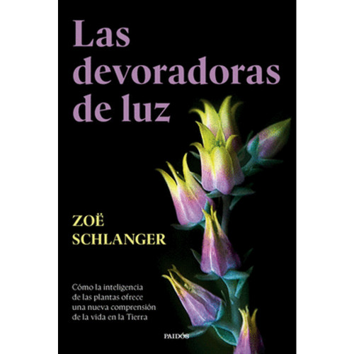 DEVORADORAS DE LUZ