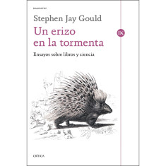 UN ERIZO EN LA TORMENTA